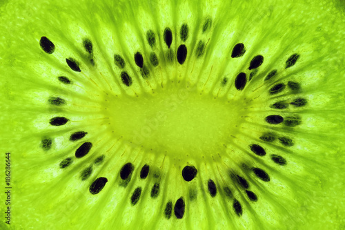 macro top view of a actinidia kiwi fruit slice texture, backlight