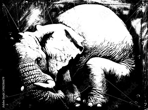 Photography Sleeping elephant. Big elephant illustration. Gulliver.