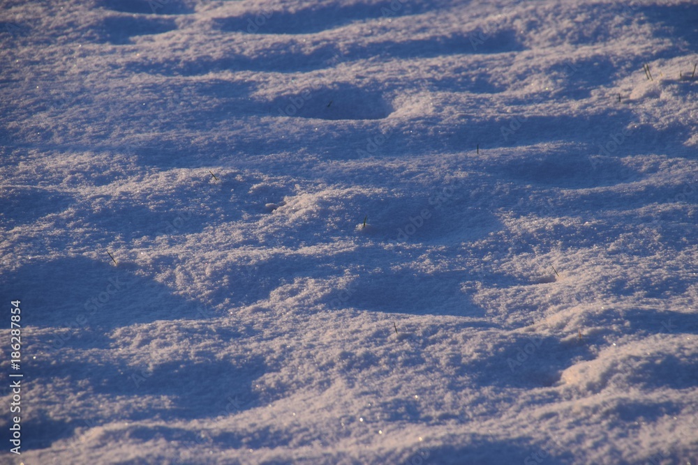 frischer Schnee von der Sonne bestrahlt mit leicht blauen Schatten frischer Schnee von der Sonne bestrahlt mit leicht blauen Schatten