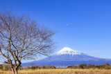 冬の富士山と青空に舞う軽飛行機、静岡県富士川河口にて