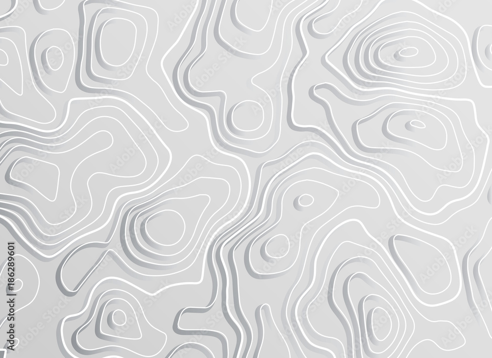 3d topographic map contour elevation concept background