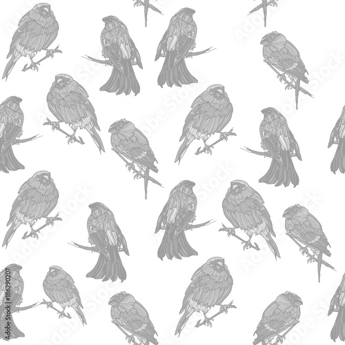 Seamless monochrome pattern with bullfinches on the branches.