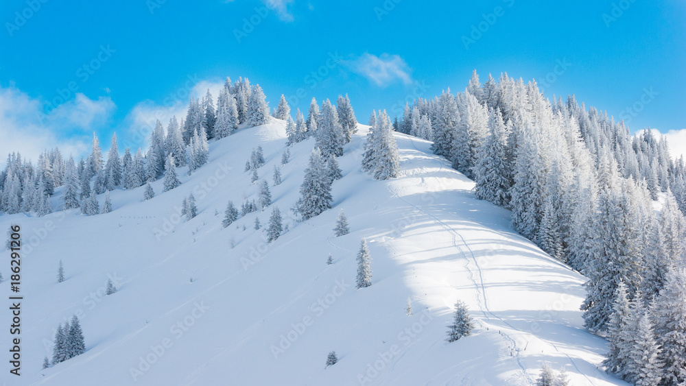 Austrian Alps in Salzburger Land in Winter 