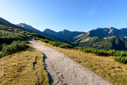 slovakian carpathian mountains in autumn. hiking trail on top of the mountain