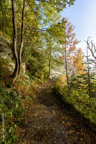 scenic and beautiful tourism trail in the park Slovensky raj, Slovakia © Martins Vanags