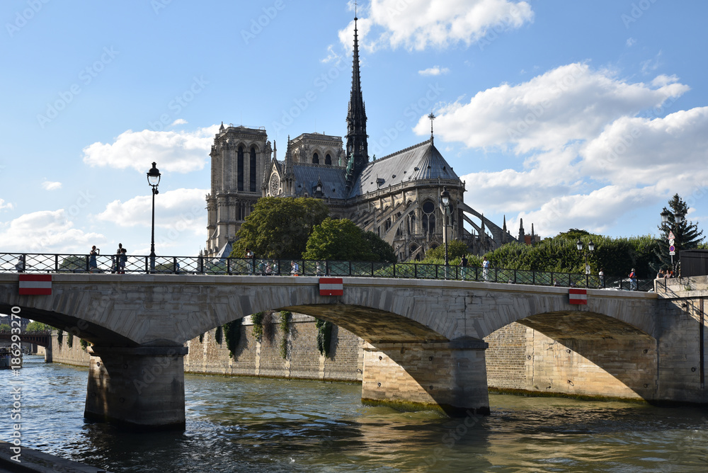 Cathédrale Notre-Dame et pont sur la Seine à Paris, France