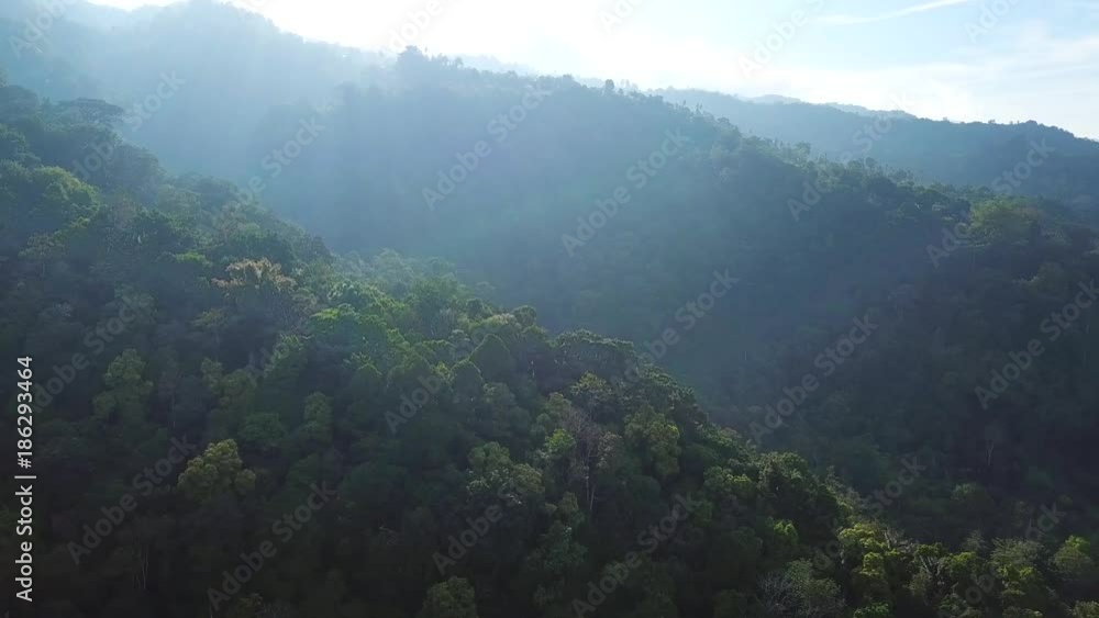 Aerial View. Flying over a mountainous forest growing on the North Sumatra,Indonesia