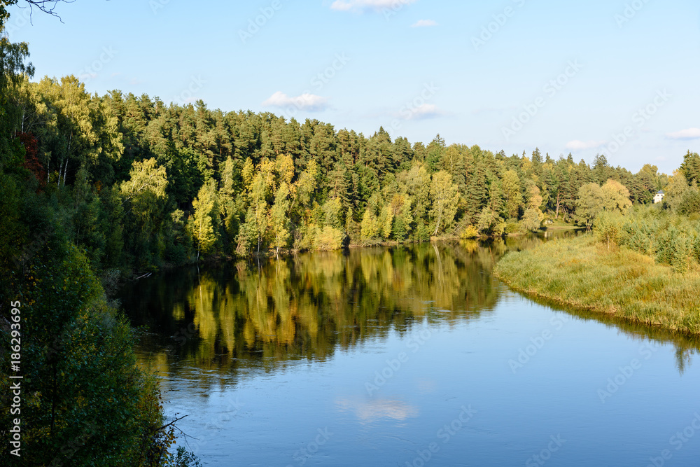 high water level in river Gauja, near Valmiera city in Latvia. summer trees surrounding high water level in river Gauja, near Valmiera city in Latvia. summer trees surrounding