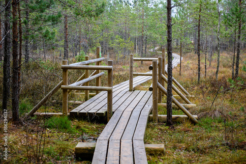 old wooden boardwalk covered with leaves in ancient forest