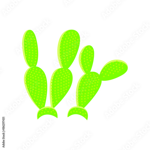 Cactus vector illustration.