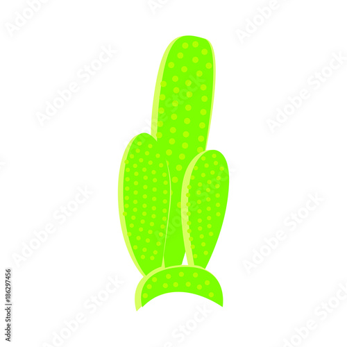 Cactus vector illustration.