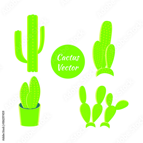 Set of cactus vector illustration. cactus vector illustration.