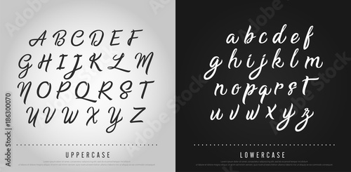 Vector elegant alphabet letters set. Exclusive Custom Letters. alphabet designs for logo, Poster, Invitation, etc. Typography font classic style, Uppercase and Lowercase vector illustrator