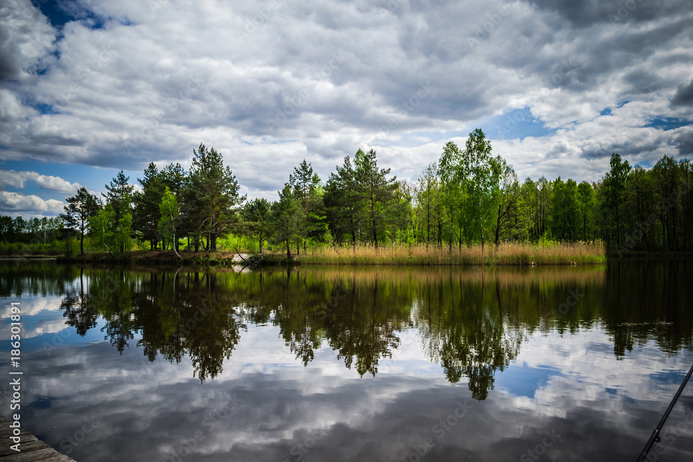 Fototapeta premium Fishing on a forest lake