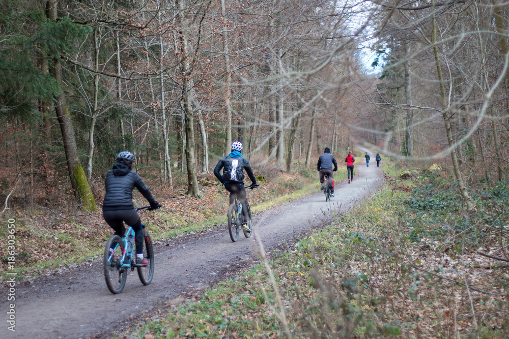 Fototapeta premium sport in forest park