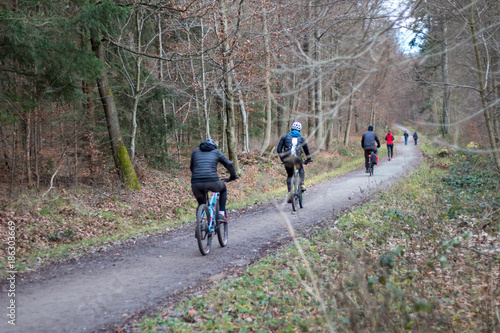 cycling in forrest