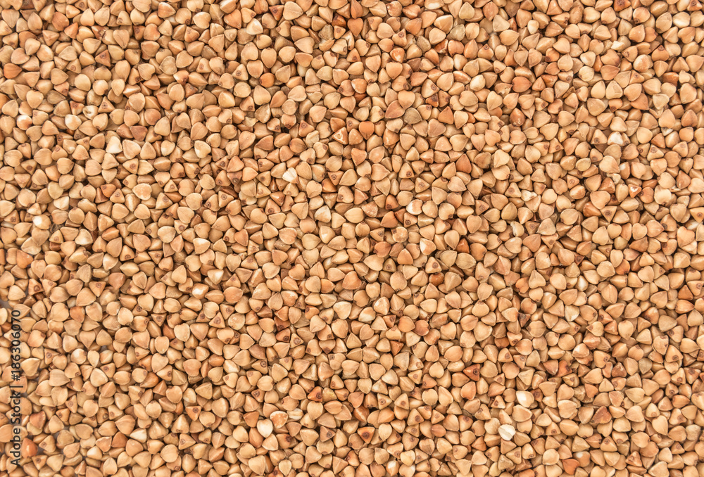 buckwheat. fresh buckwheat. dry buckwheat background. buckwheat texture buckwheat. fresh buckwheat. dry buckwheat background. buckwheat texture