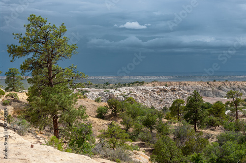 New Mexico Southwestern Landscape