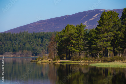 Loch Morlich with Glenmore Forest and mountains of the Cairngorms in Scotland