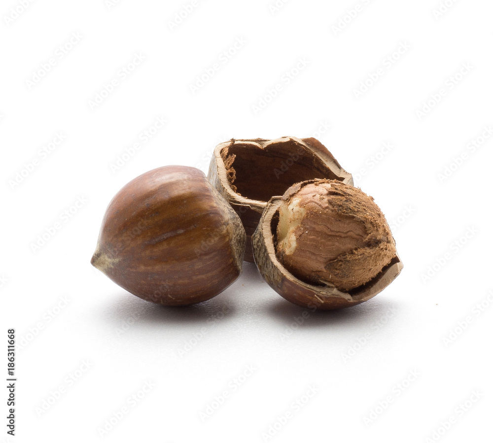 One shelled hazelnut inside a shell and unshelled one isolated on white background. One shelled hazelnut inside a shell and unshelled one isolated on white background.