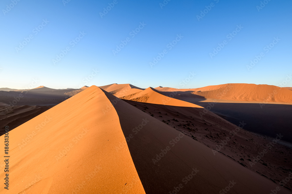 Panoramic view of red sand dunes in Sossusvlei near Sesriem in famous Namib Desert in Namibia, Africa. Sossusvlei is a popular tourist destination, the dunes are amongst the highest in the world.