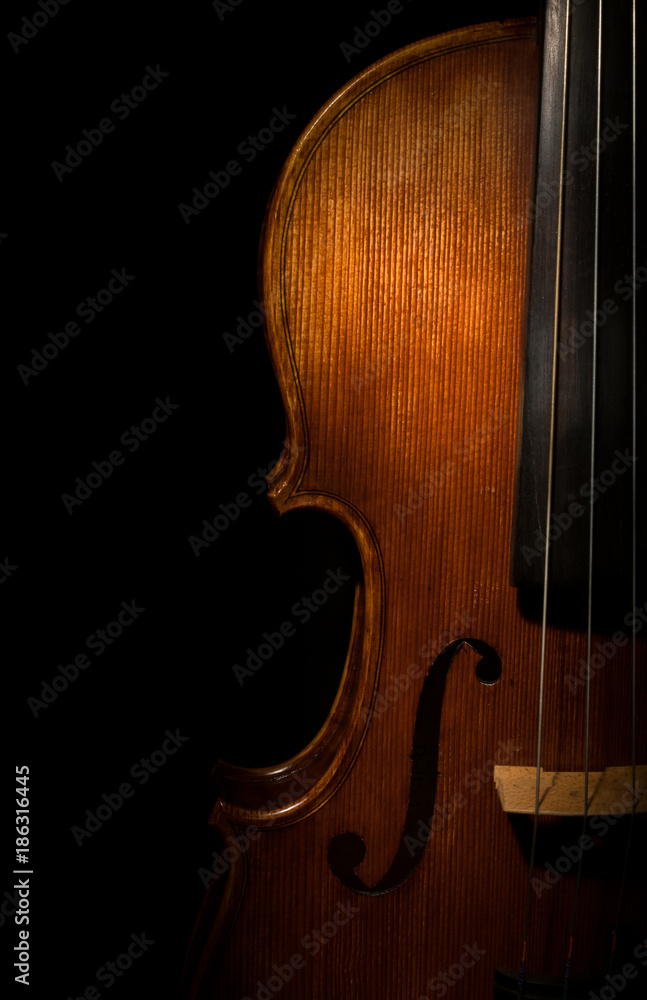 The Violin