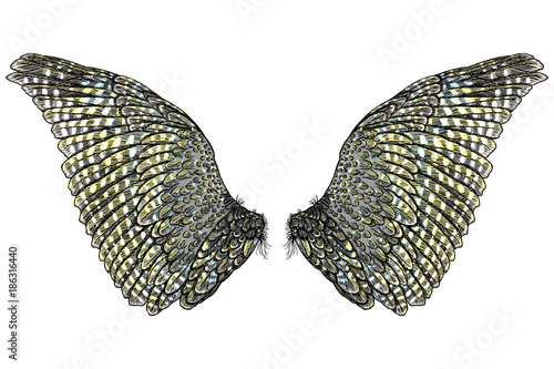 Colorful bird wings of different shape in open position isolated. Colourful illustrations with angel wings. Freehand drawing. Hand drawing tattoo vintage body art concept vector.