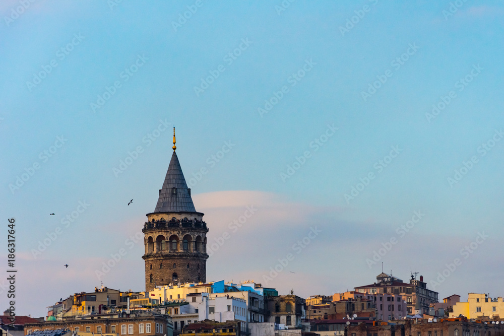 Naklejka premium Galata tower and the buildings around
