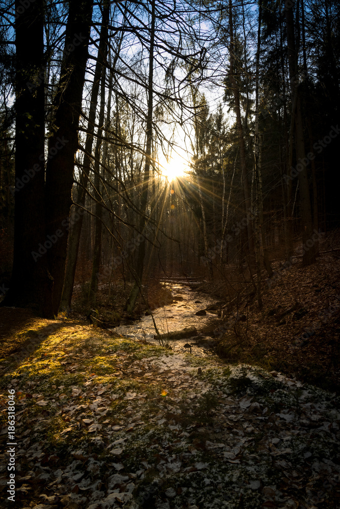 Naklejka premium 2012207