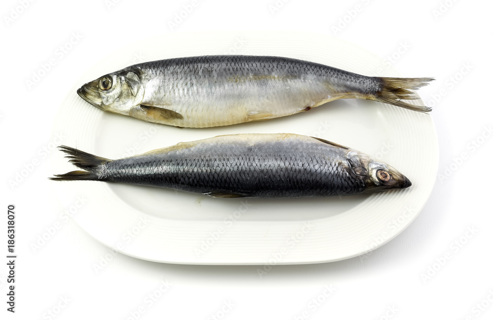 Salted herrings on the plate, isolated on white background. Salted herrings on the plate, isolated on white background.