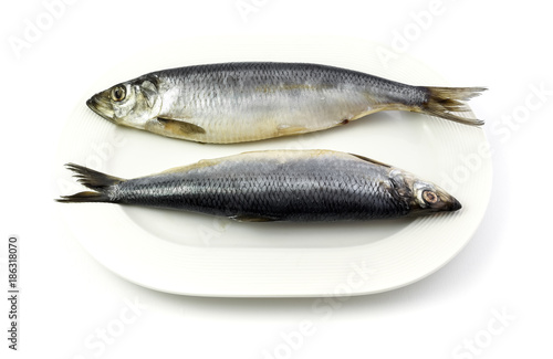 Salted herrings on the plate, isolated on white background.