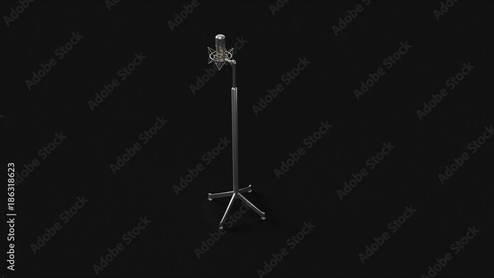 Silver Microphone and Stand Silver Microphone and Stand