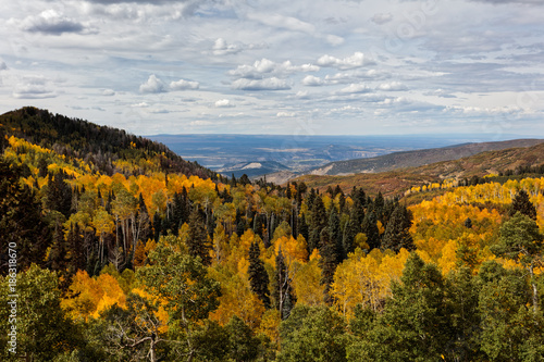 Fototapeta Naklejka Na Ścianę i Meble -  Beautiful and Colorful Colorado Rocky Mountain Autumn Scenery