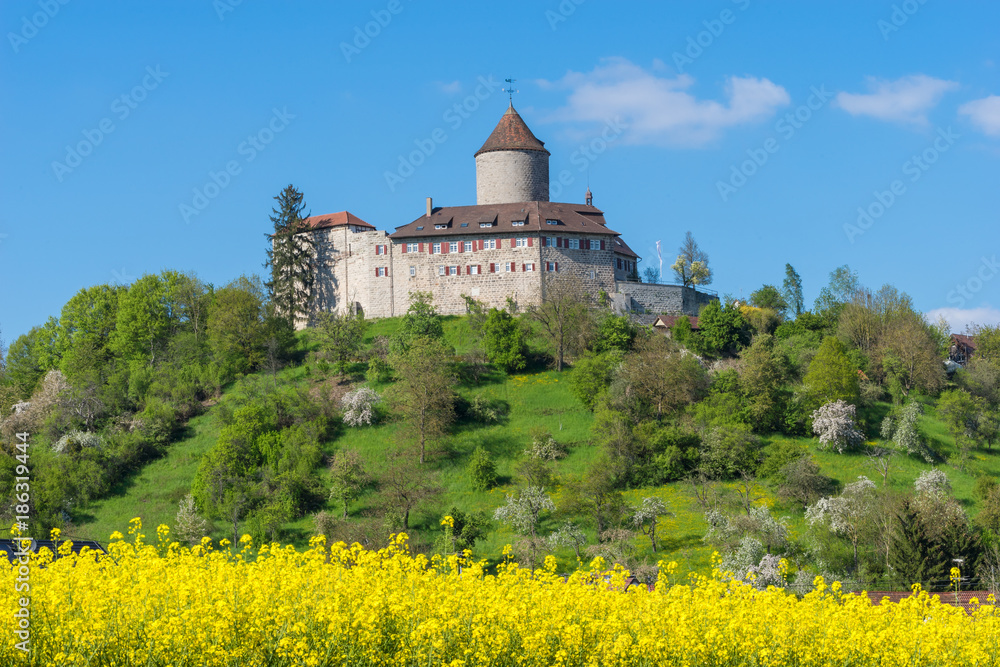 Burg Reichenberg bei Oppenweiler