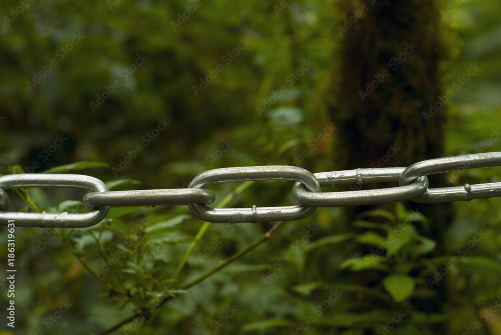 Obraz premium metal chain in the foreground - fencing of the pedestrian tourist route - separating the viewer from the green nature in the form of a blurred background