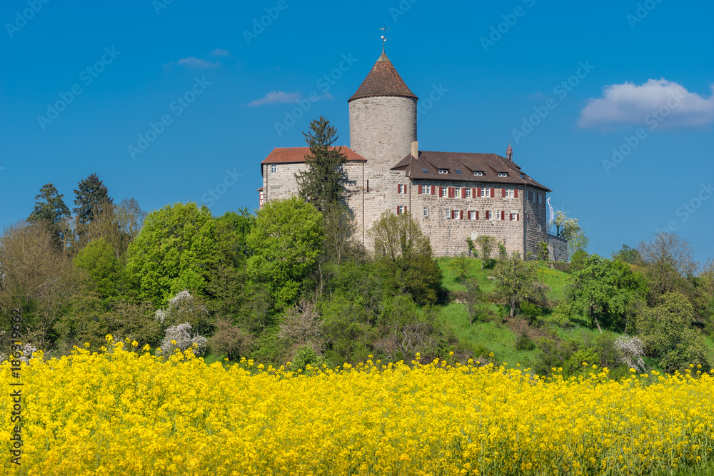 Burg Reichenberg bei Oppenweiler