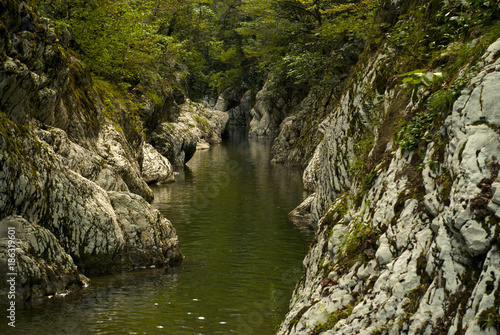 A narrow canyon of a small river, cutting a rocky base in a mountain forest