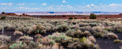 Painted Desert on the Horizon  in Arizona