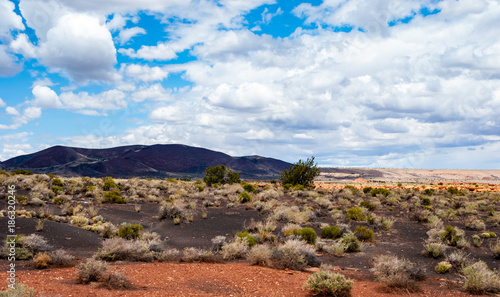 Painted Desert Colorful Desert Landscape Along the Sunset Crater Scenic Drive in Arizona