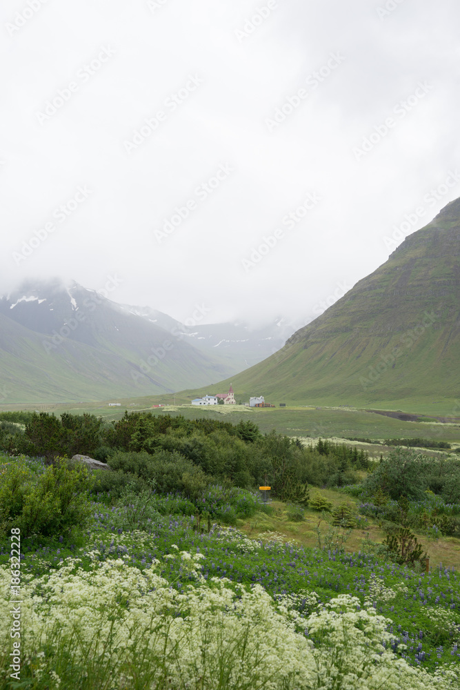 Fototapeta premium Berg-Landschaft in den Westfjorden, Island 