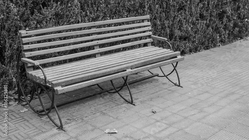 Empty wooden bench in the park in black and white image