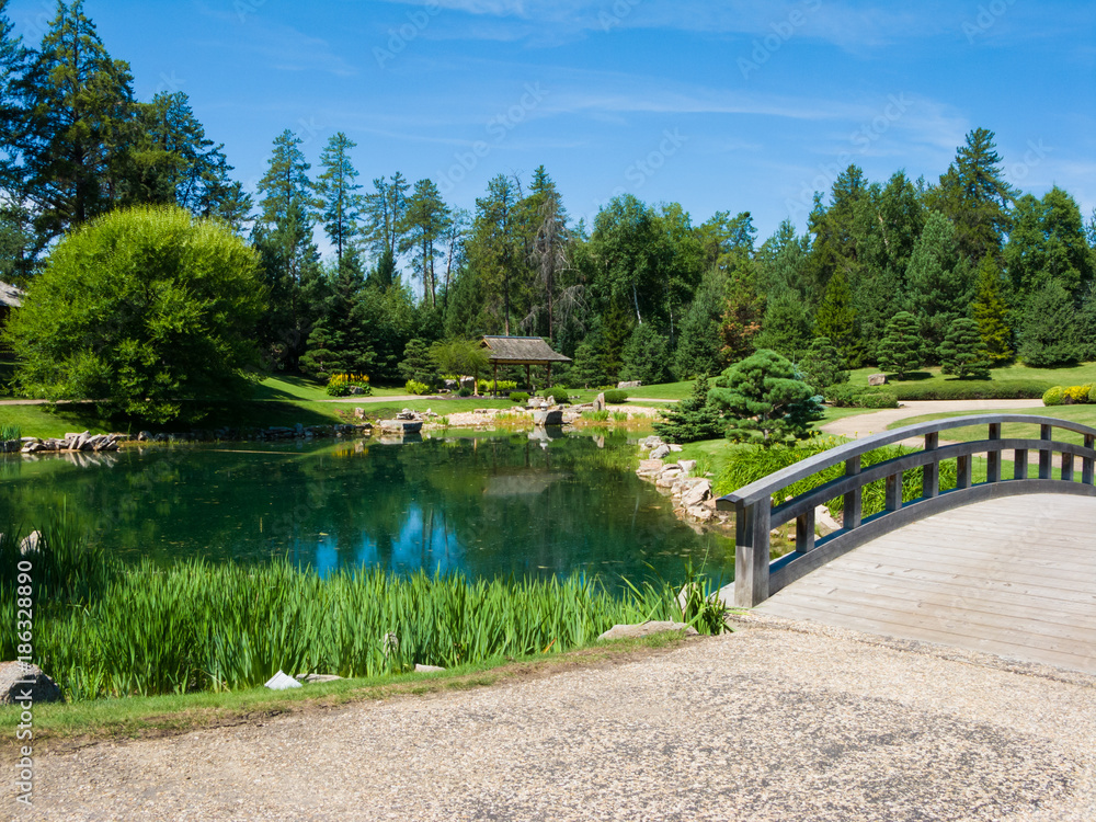 Fototapeta premium A path in a garden park