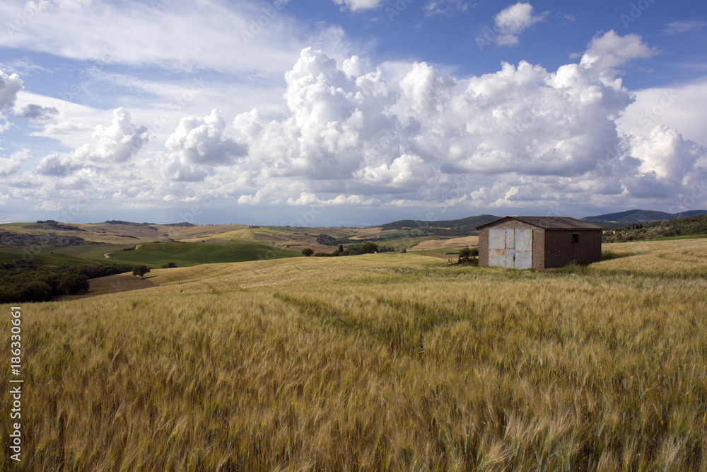 Colline Toscane Colline Toscane