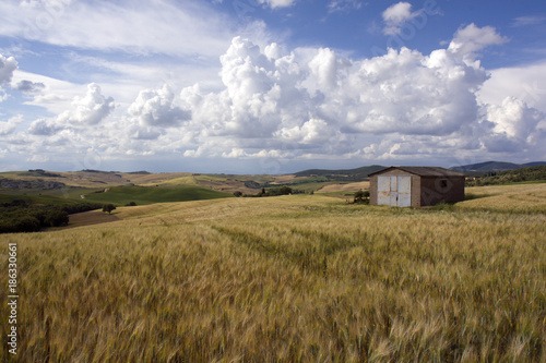 Colline Toscane