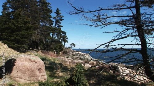 Scenic coastline in Maine