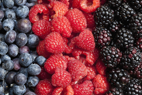 Blueberries  raspberries and blackberries macro photograph.