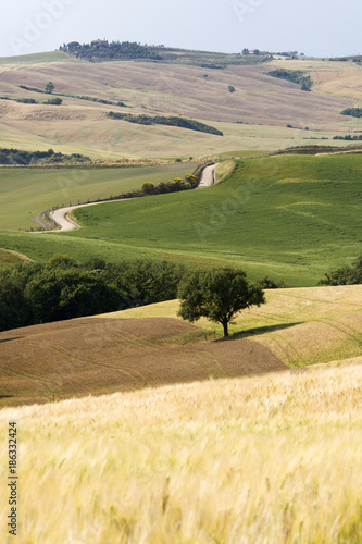 Colline Toscane