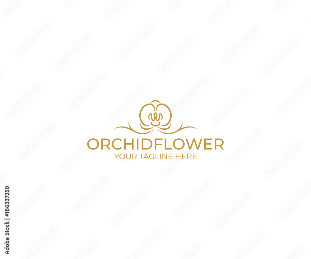 Orchid Flower Logo Template. Phalaenopsis Vector Design. Flower Illustration