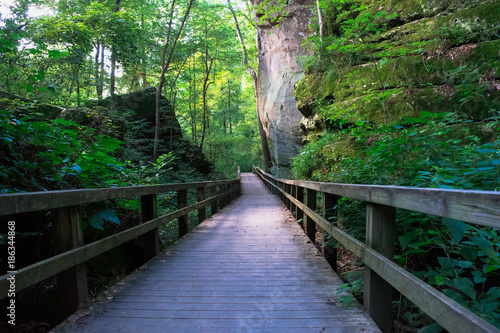 Fototapeta Naklejka Na Ścianę i Meble -  Hiking in Illinois