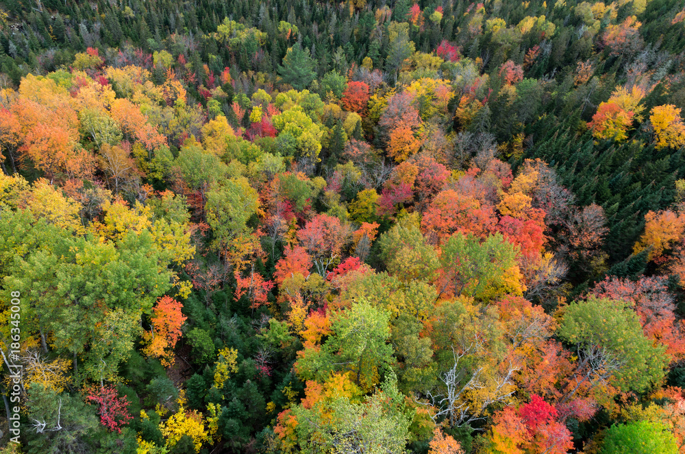 Fall color in Lake Placid NY Fall color in Lake Placid NY